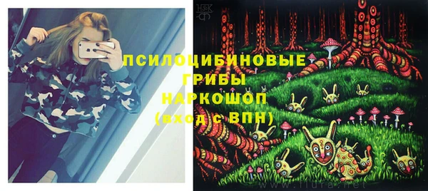 прущие крисы Краснослободск
