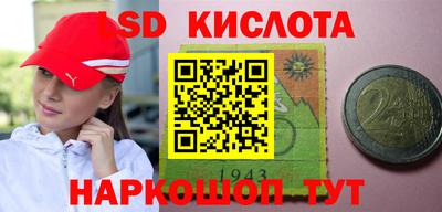 стаф Будённовск