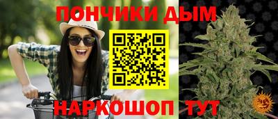 стаф Будённовск