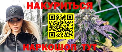 стаф Будённовск