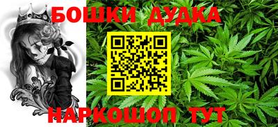 стаф Будённовск