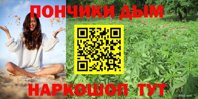 стаф Будённовск