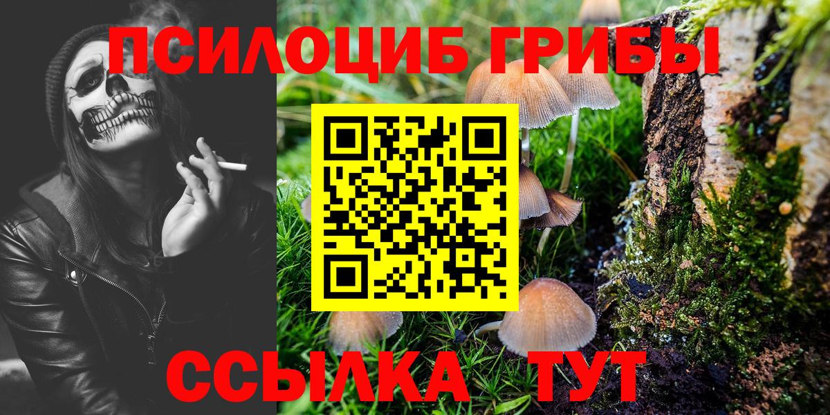 Псилоцибиновые грибы Cubensis Жуковский