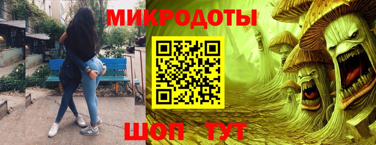 Галлюциногенные грибы Psilocybe Жуковский