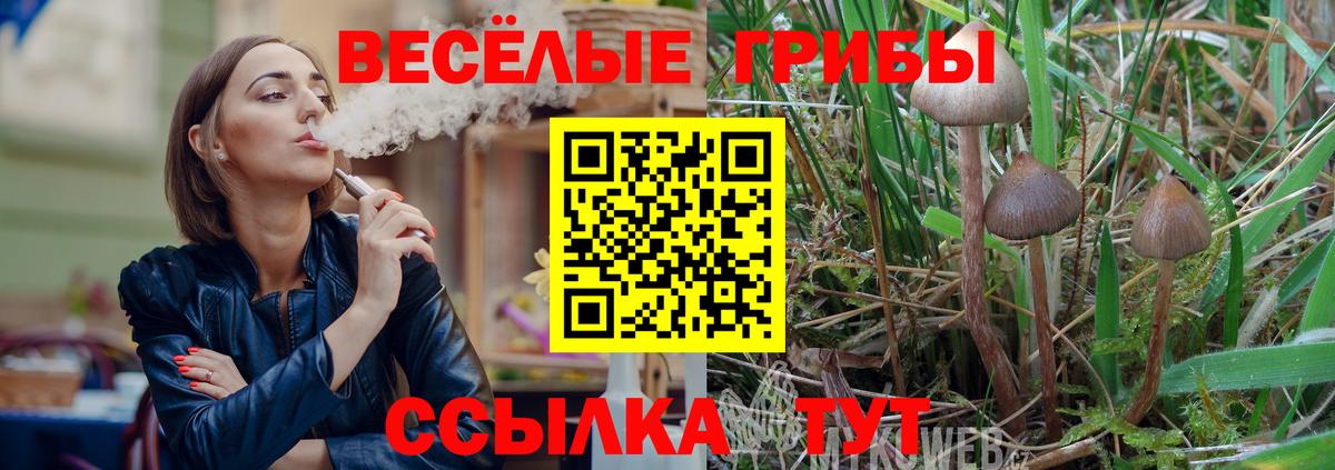 Псилоцибиновые грибы Cubensis  Жуковский 